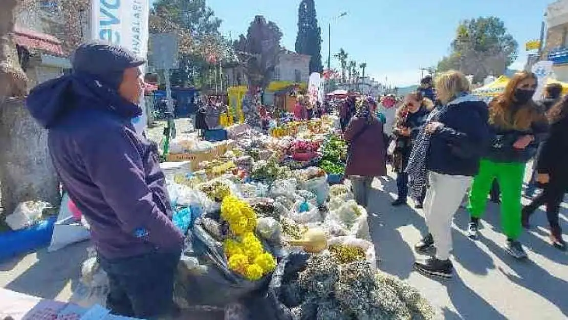 Bodrum'da bu defa 'ot festivali' düzenlendi