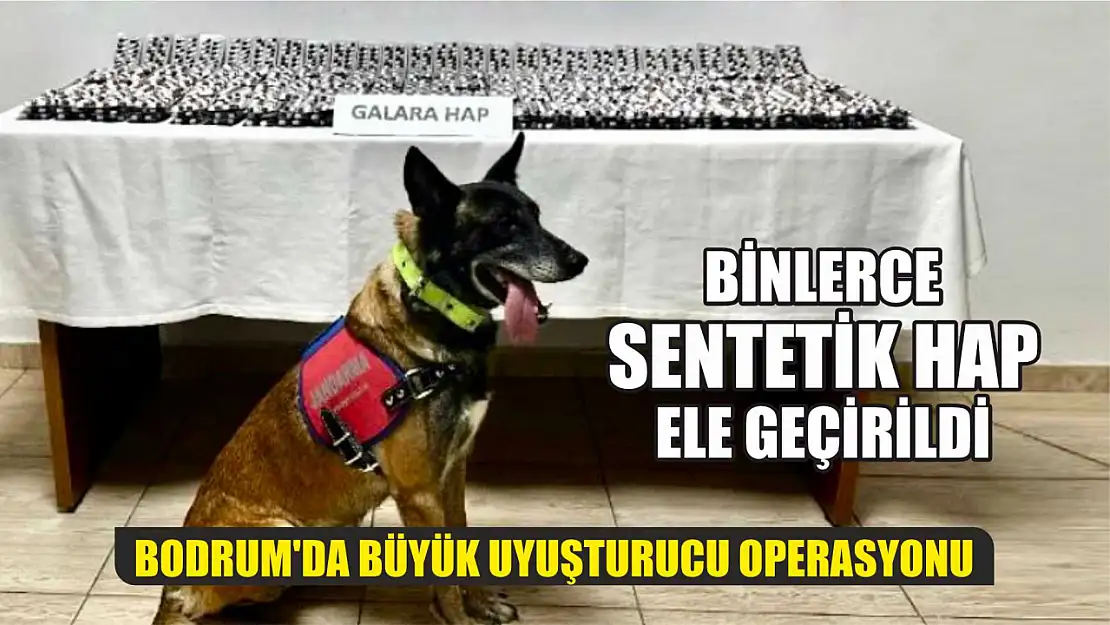 Bodrum'da Büyük Uyuşturucu Operasyonu Binlerce Sentetik Hap Ele Geçirildi