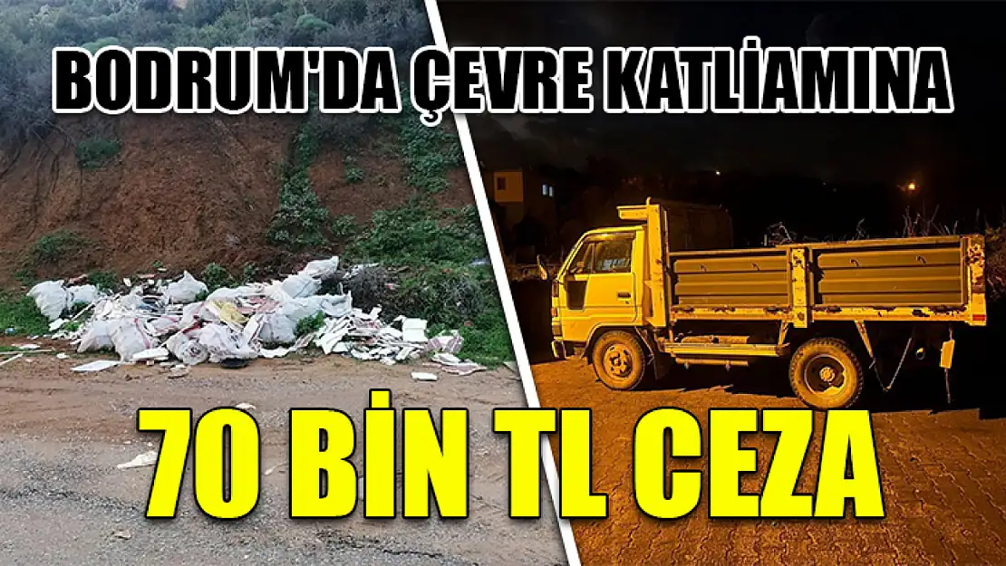 Bodrum'da çevre katliamına 70 bin TL ceza