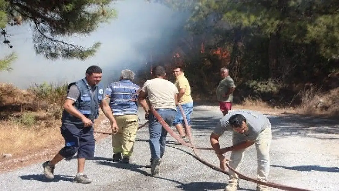 Bodrum'da çıkan yangında 13 hektar alan küle döndü