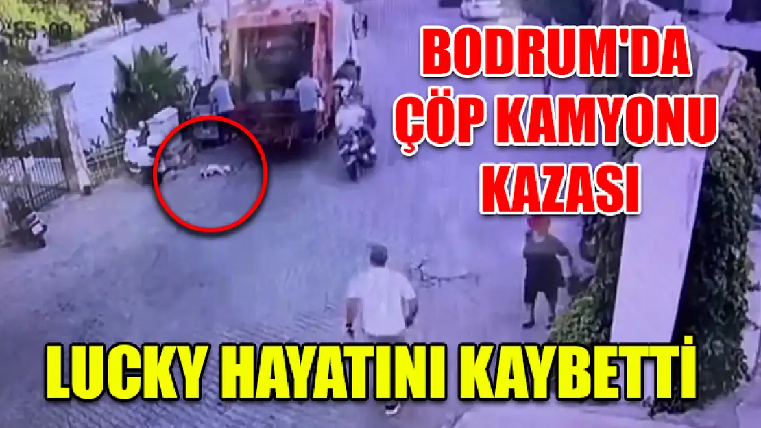 Bodrum'da çöp kamyonu kazası: Lucky hayatını kaybetti