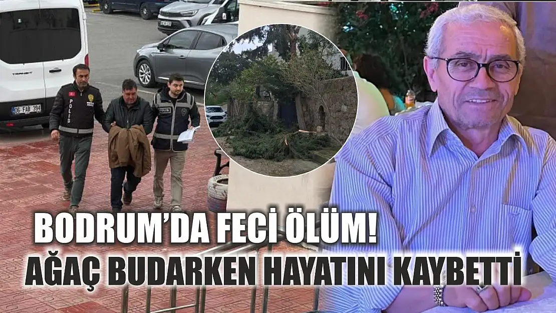 Bodrum'da feci ölüm! ağaç budarken hayatını kaybetti