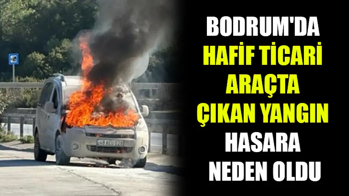 Bodrum'da hafif ticari araçta çıkan yangın hasara neden oldu