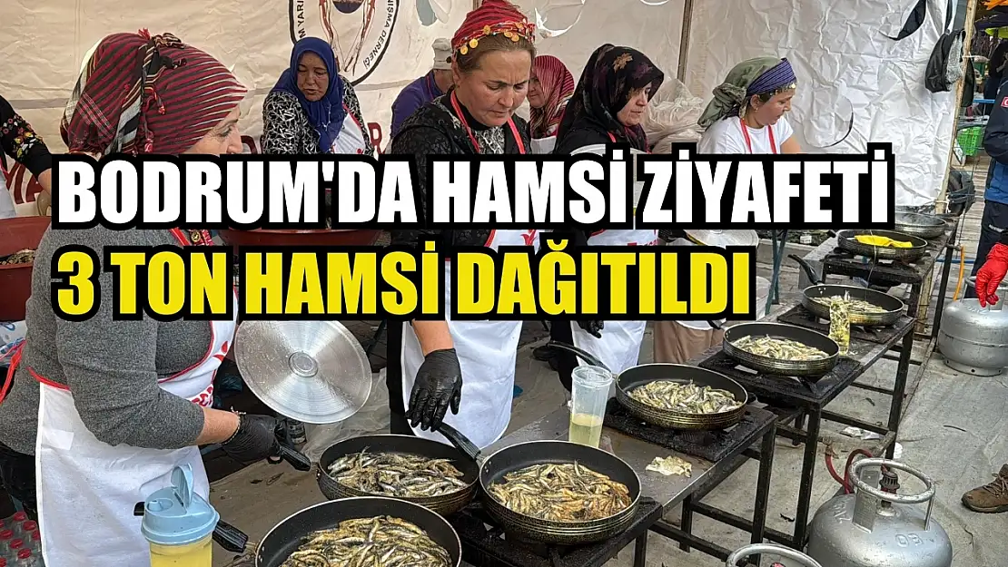 Bodrum'da hamsi ziyafeti: 3 ton hamsi dağıtıldı