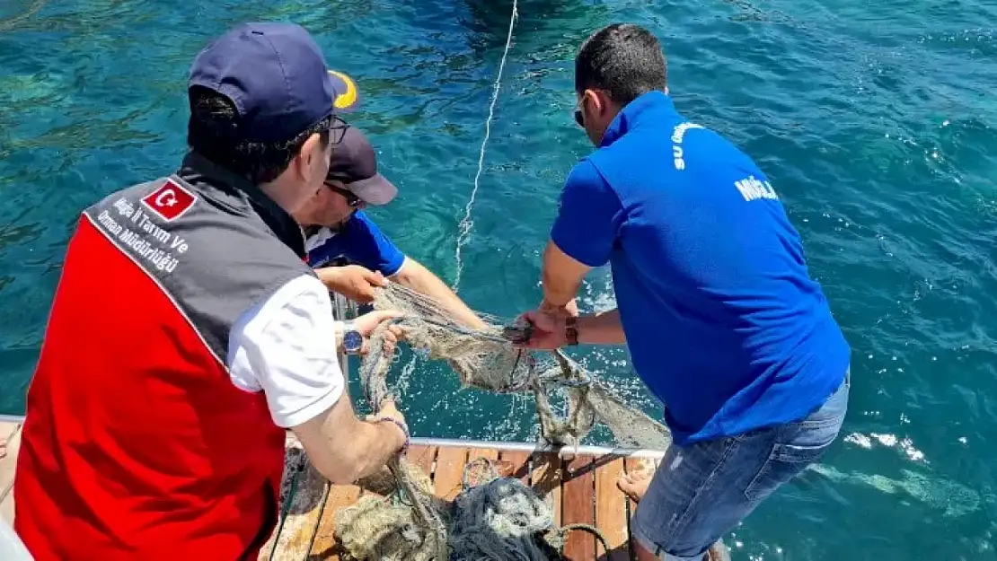 Bodrum'da Hayalet Ağ Temizliği