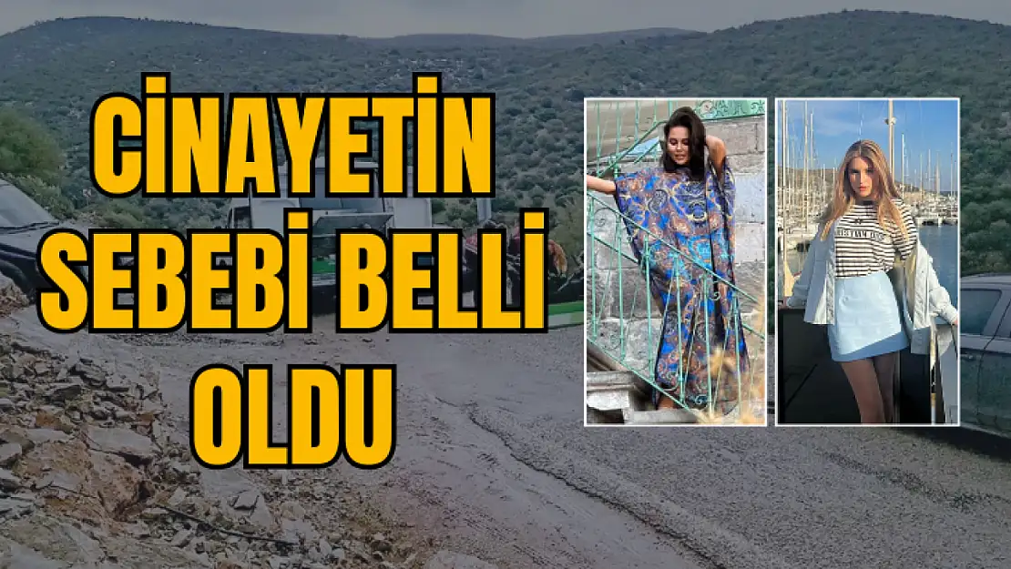 Bodrum'da kan donduran çifte cinayetin sebebi belli oldu, 'Çocuğun Velayeti İçin Öldürmüş