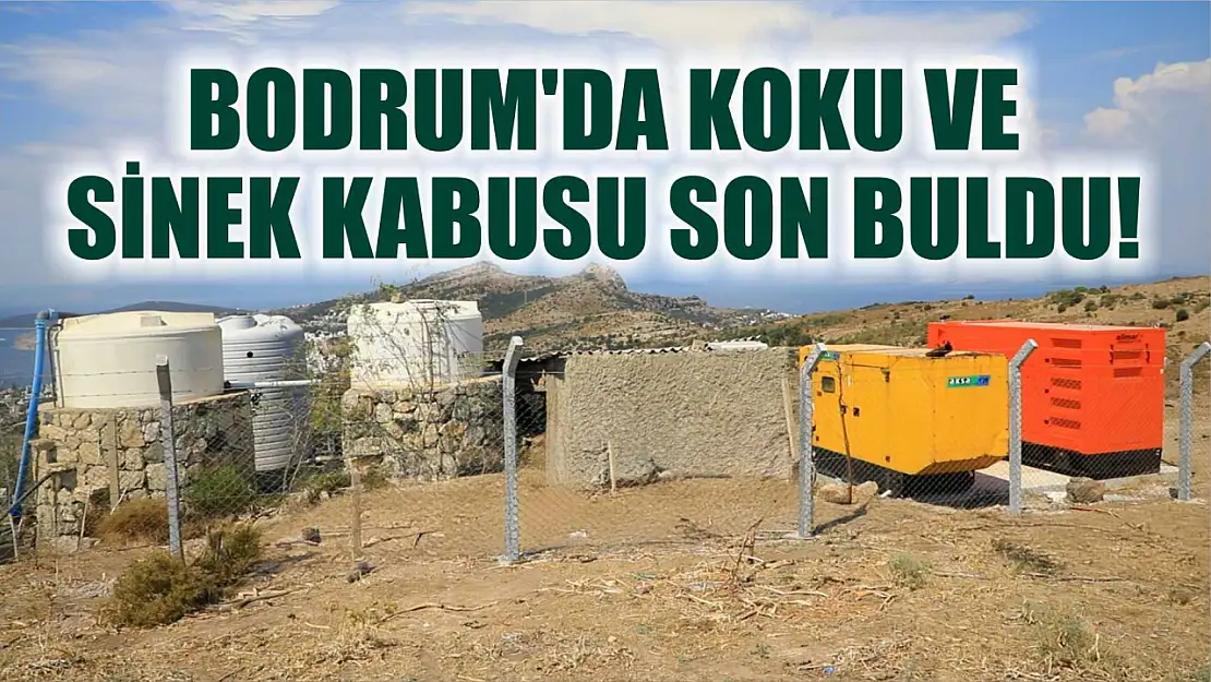 Bodrum'da Koku ve Sinek Kabusu Son Buldu!