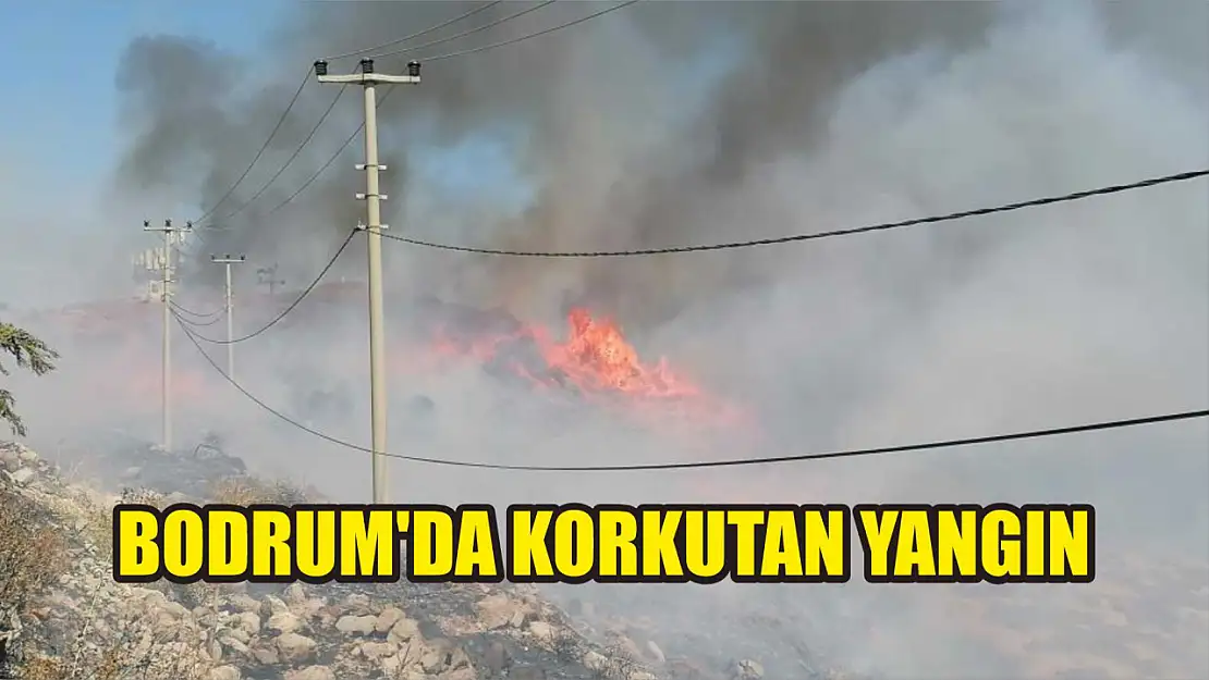 Bodrum'da korkutan yangın