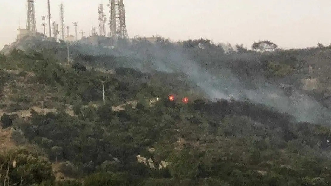 Bodrum'da makilik alanda yangın