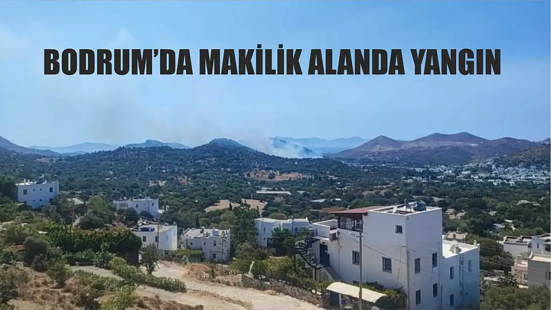 Bodrum'da makilik alanda yangın