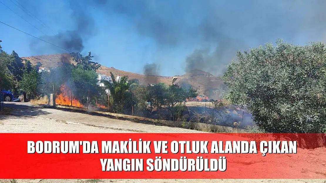 Bodrum'da makilik ve otluk alanda çıkan yangın söndürüldü