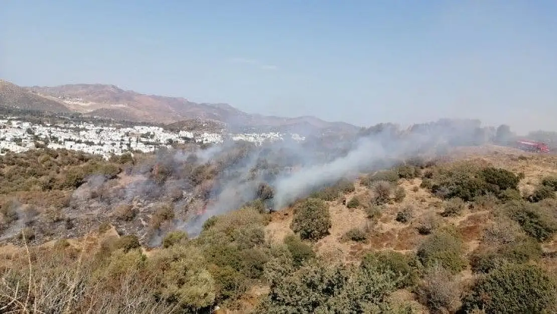 Bodrum'da makilik yangını