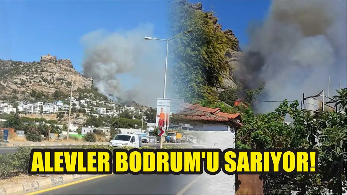 Bodrum'da makilik yangını