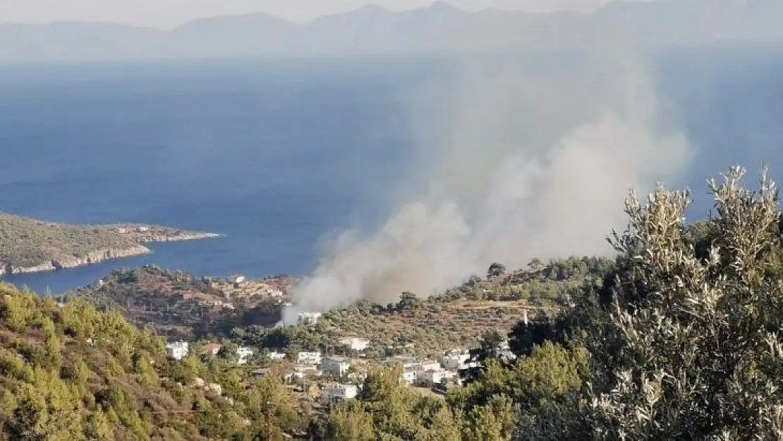 Bodrum'da orman yangını