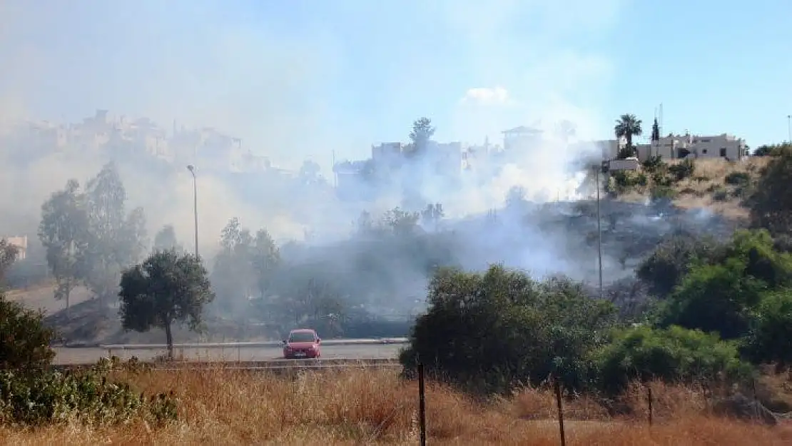 Bodrum'da otluk alanda çıkan yangın korkuttu