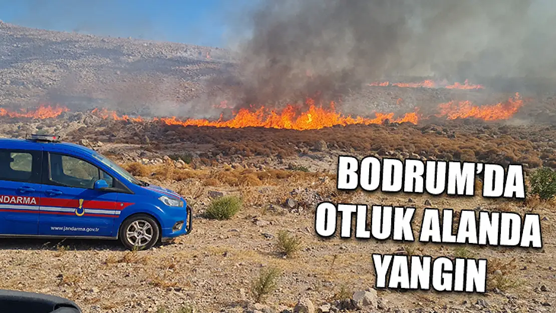 Bodrum'da otluk alanda yangın