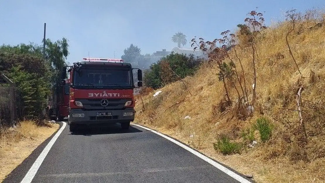 Bodrum'da otluk ve makilik alanda yangın çıktı