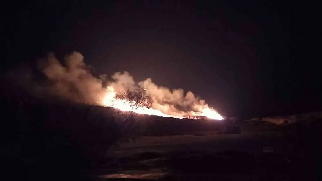 Bodrum'da otluk ve makilik alanda çıkan yangında 2 dönüm alan kül oldu