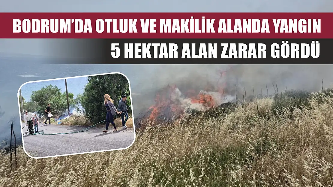 Bodrum'da otluk ve makilik alanda yangın: 5 hektar alan zarar gördü