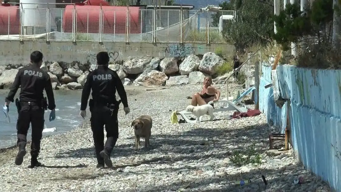 Bodrum'da sahilde sere serpe güneşlenirken yakalandı