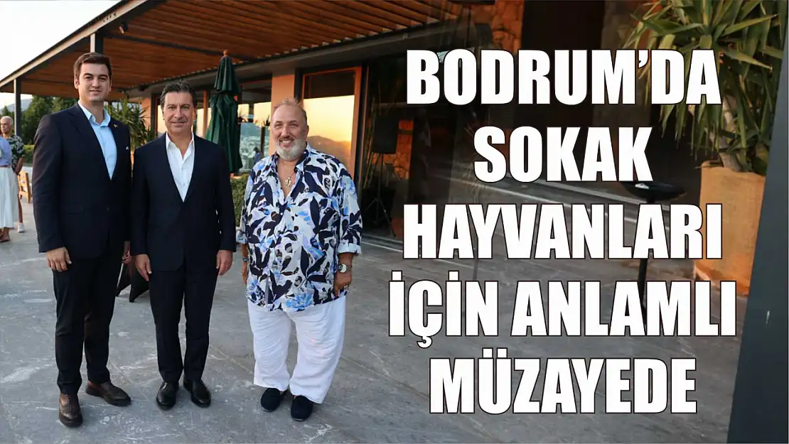 Bodrum'da Sokak Hayvanları İçin Anlamlı Müzayede