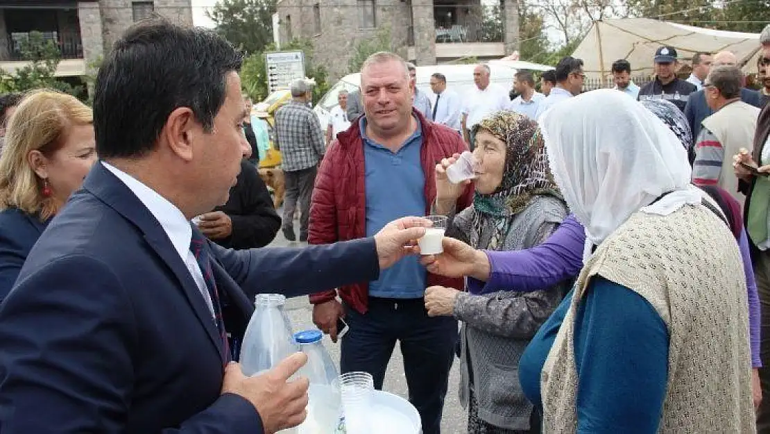 Bodrum'da süt yok satıyor