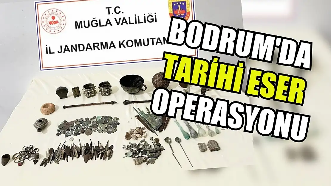 Bodrum'da tarihi eser operasyonu