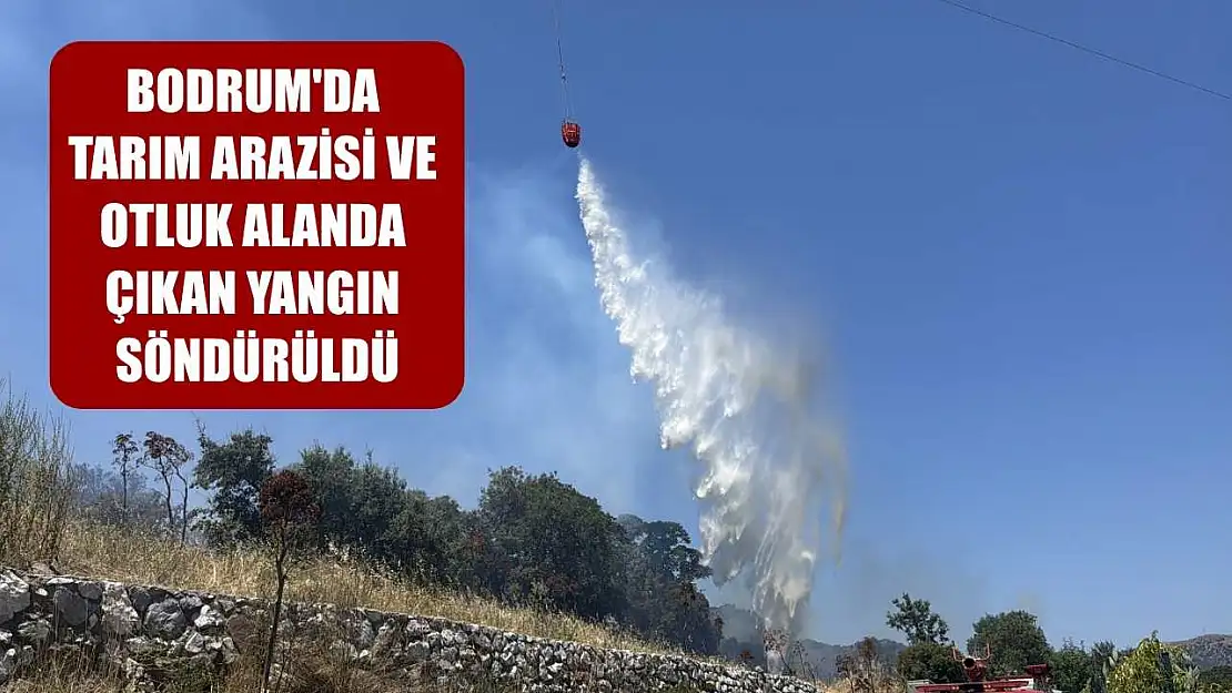 Bodrum'da tarım arazisi ve otluk alanda çıkan yangın söndürüldü