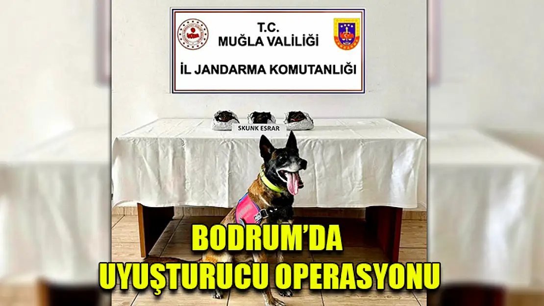 Bodrum'da Uyuşturucu Operasyonu