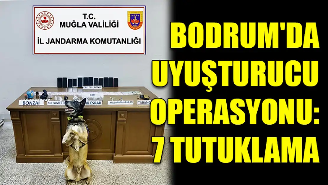 Bodrum'da uyuşturucu operasyonu: 7 tutuklama