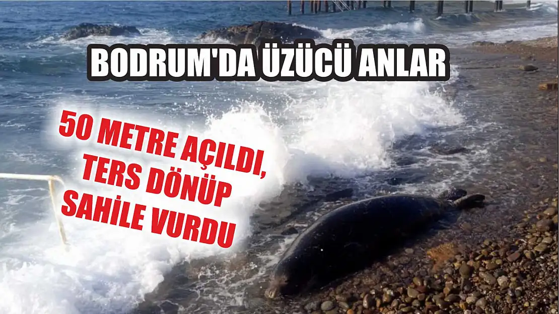 Bodrum'da üzücü anlar: 50 metre açıldı, ters dönüp sahile vurdu