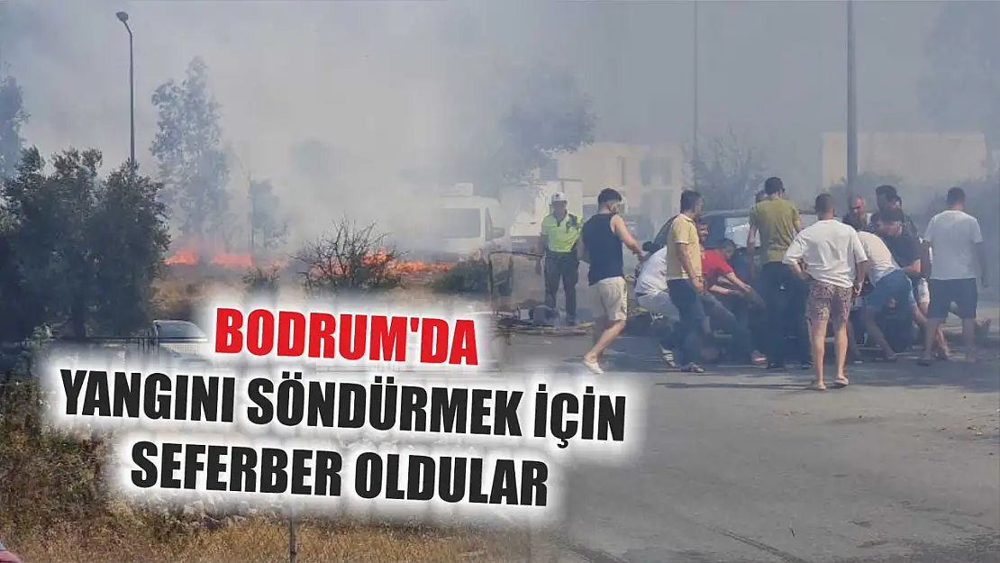 Bodrum'da Yangını söndürmek için seferber oldular