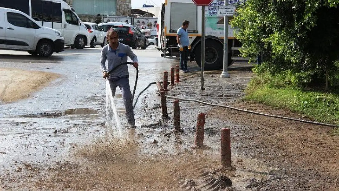 Bodrum'da yaralar sarılmaya başlandı