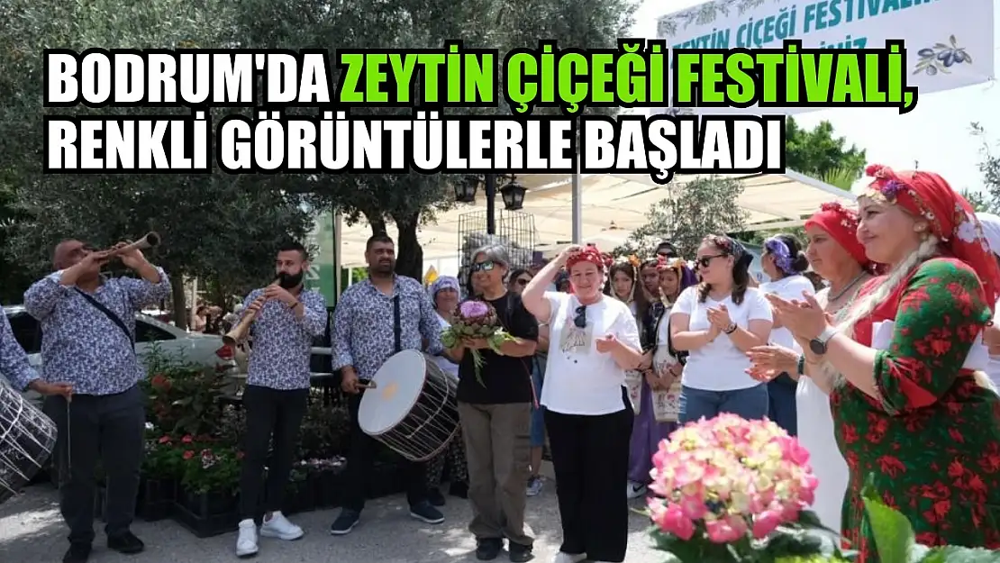 Bodrum'da Zeytin Çiçeği Festivali, renkli görüntülerle başladı