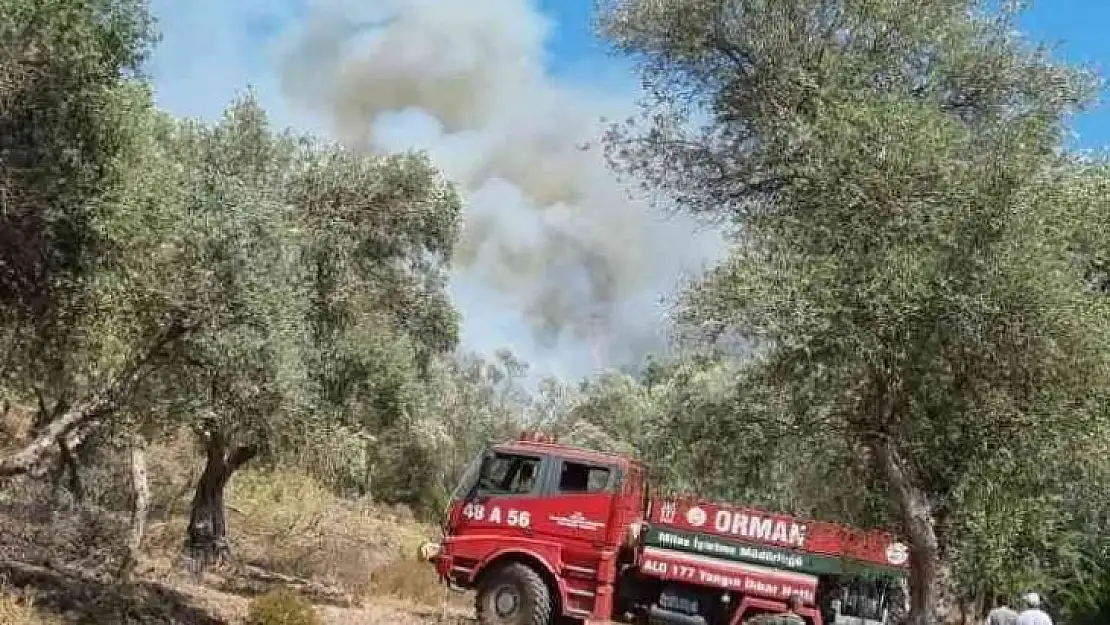 Bodrum'daki orman yangını kontrol altına alındı