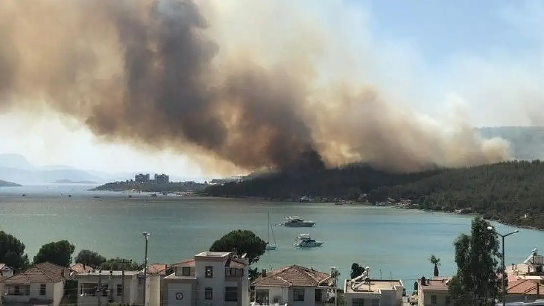 Bodrum'daki yangın otellere yaklaştı, müşteriler tahliye ediliyor