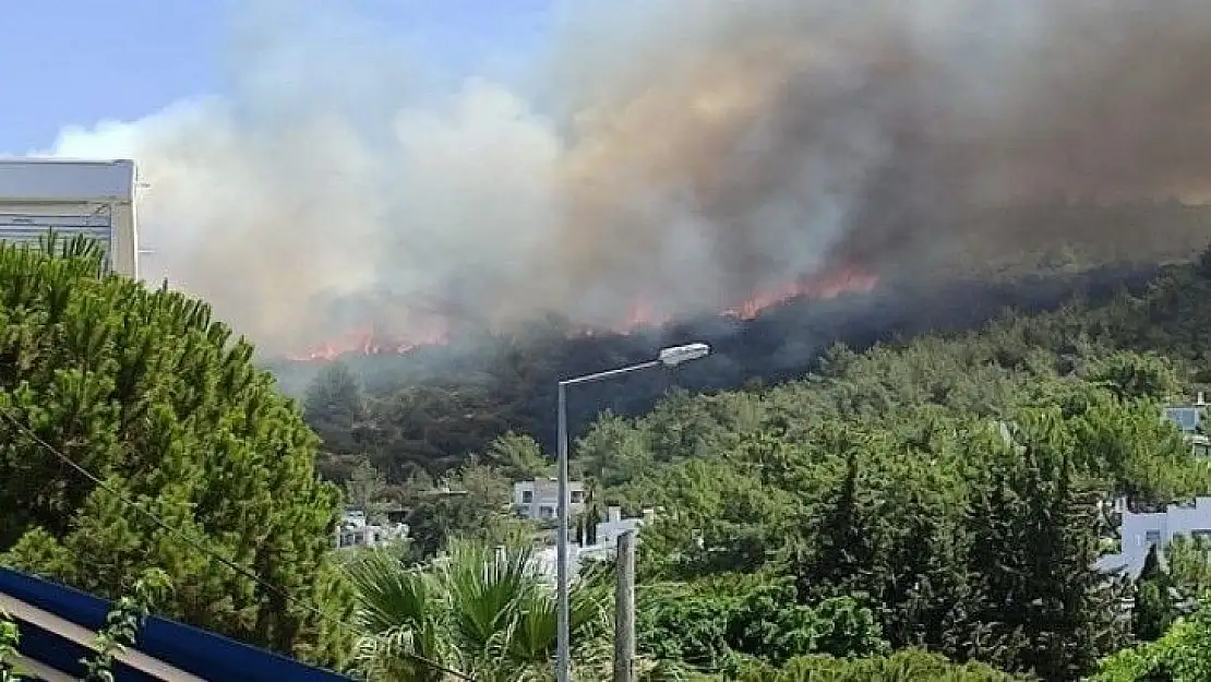 Bodrum'daki Yangına Ekiplerin Müdahalesi Başladı