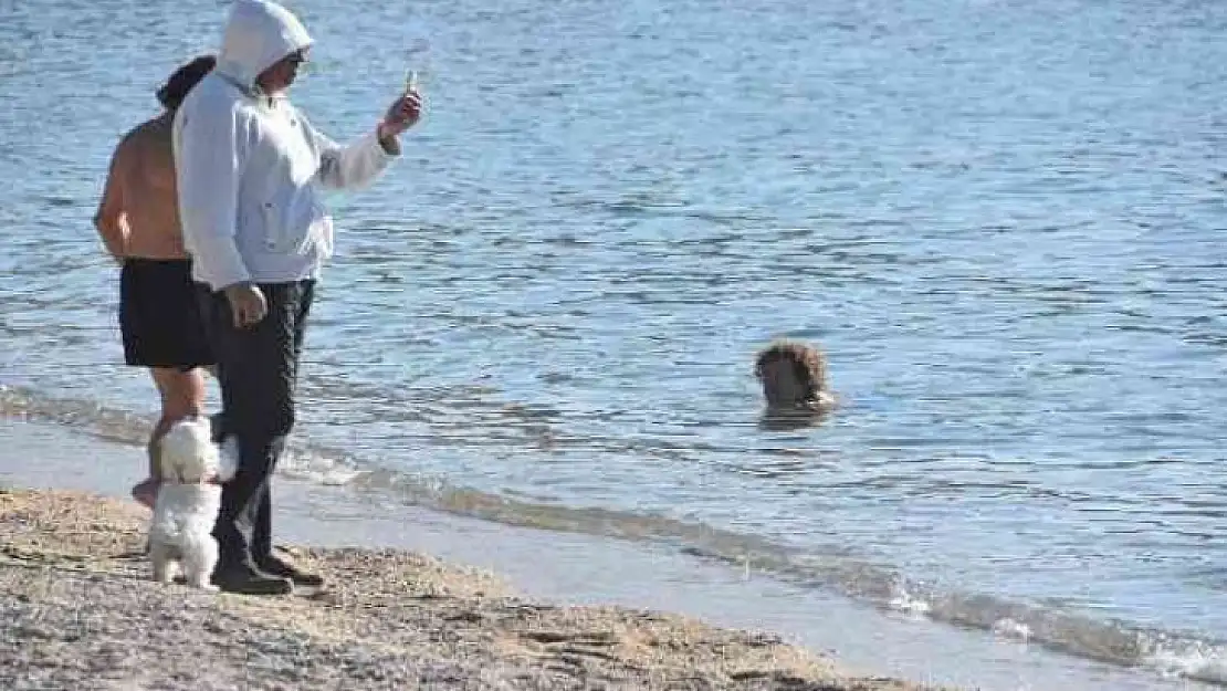 BODRUM DENİZE GİRİP GÜNEŞLENDİLER