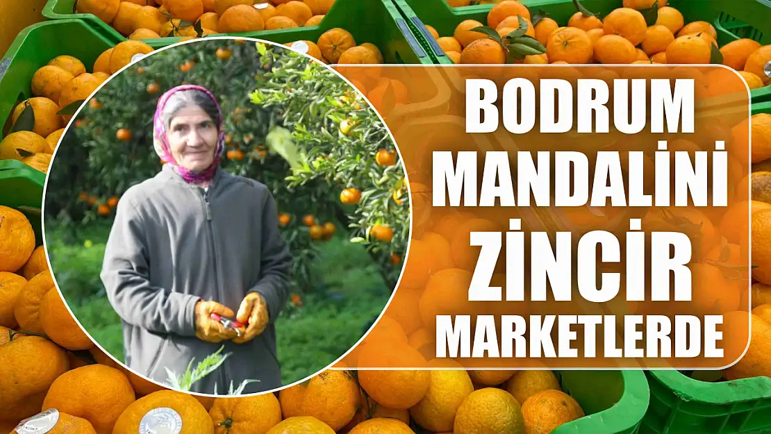 Bodrum mandalini zincir marketlerde