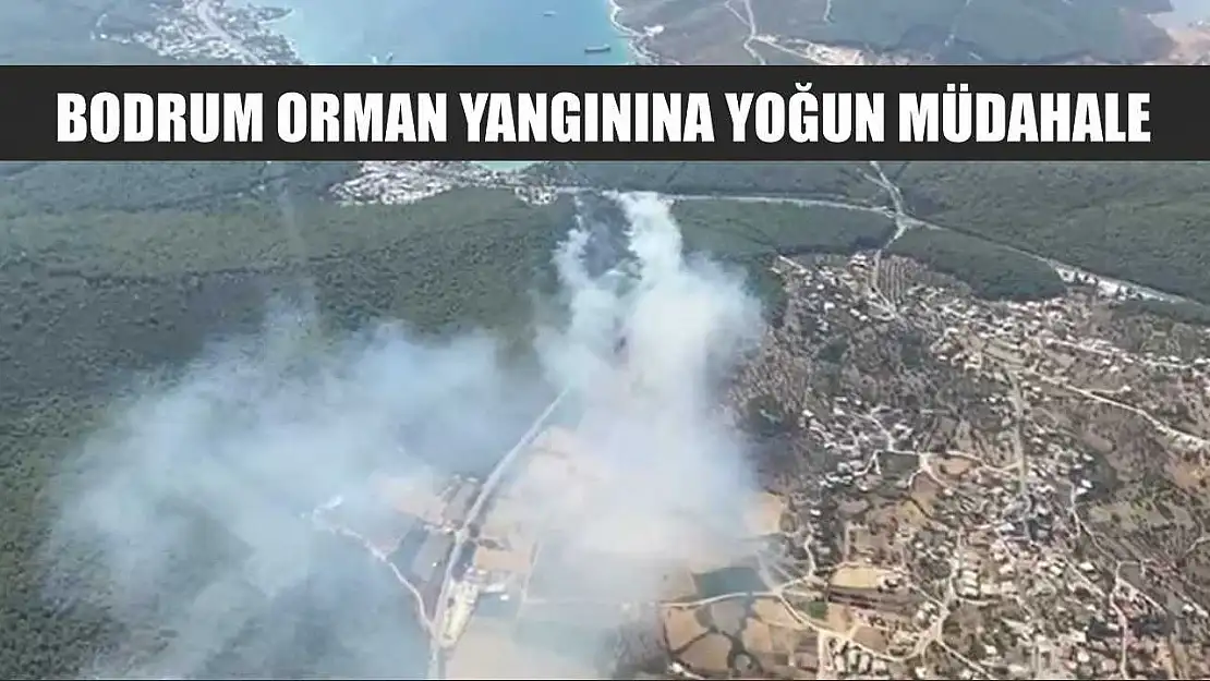 Bodrum orman yangınına yoğun müdahale
