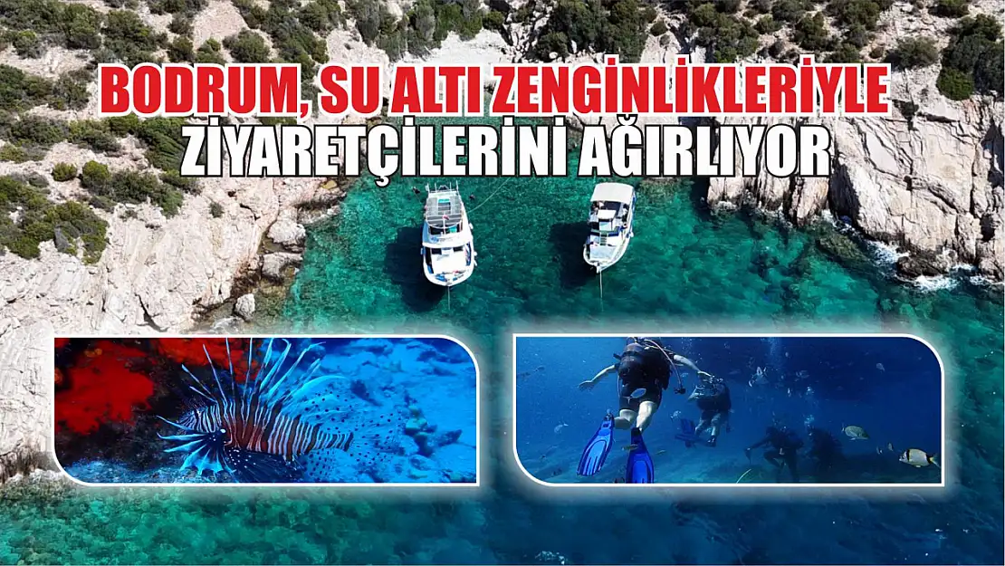 Bodrum, su altı zenginlikleriyle ziyaretçilerini ağırlıyor