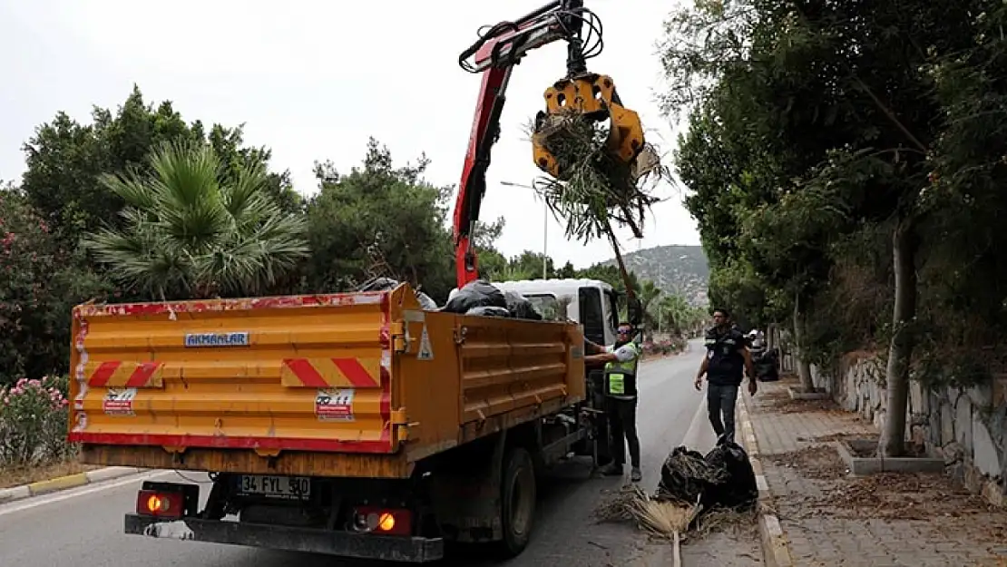 Bodrum'u Cadde, Sokak Gezerek Temizlediler