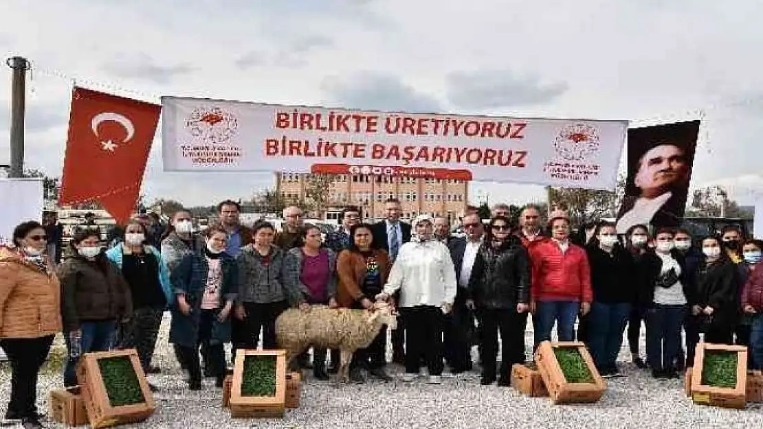 Bodrum ve Milas'ta 70 kadın üreticiye 700 koyun