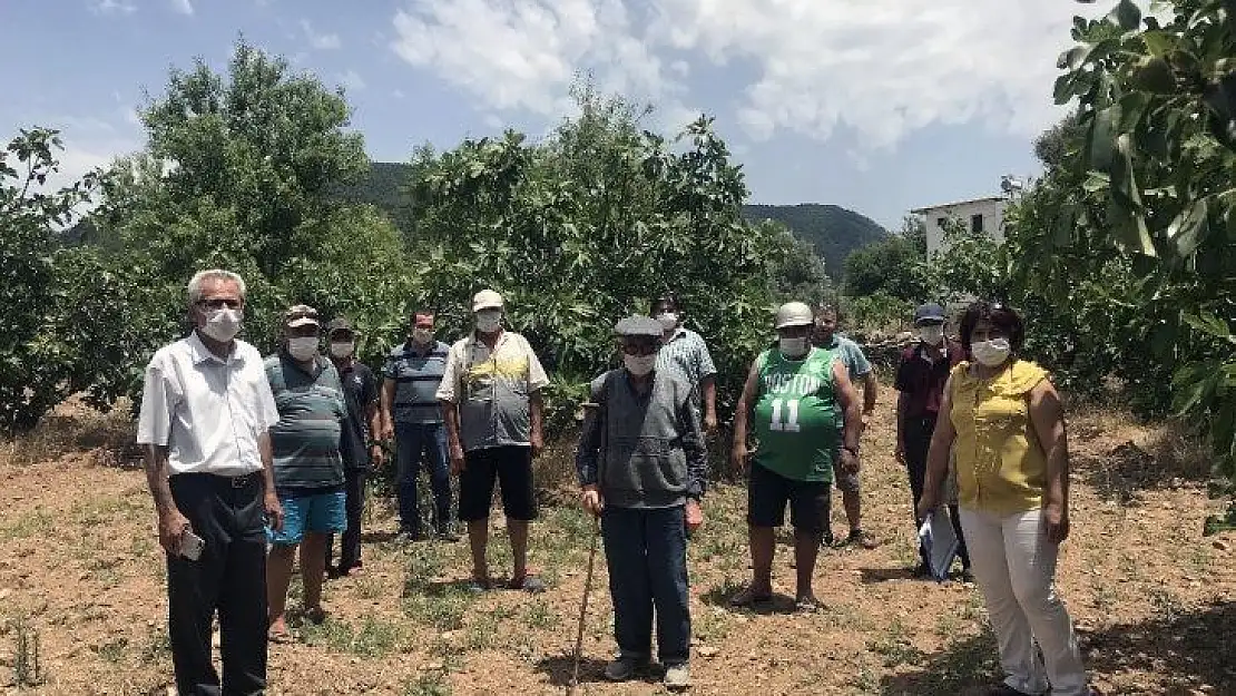 Bodrumlu çiftçiler bilgilendiriliyor