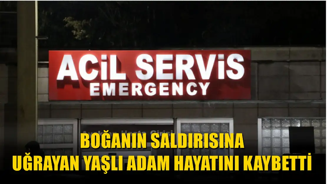 Boğanın saldırısına uğrayan yaşlı adam hayatını kaybetti