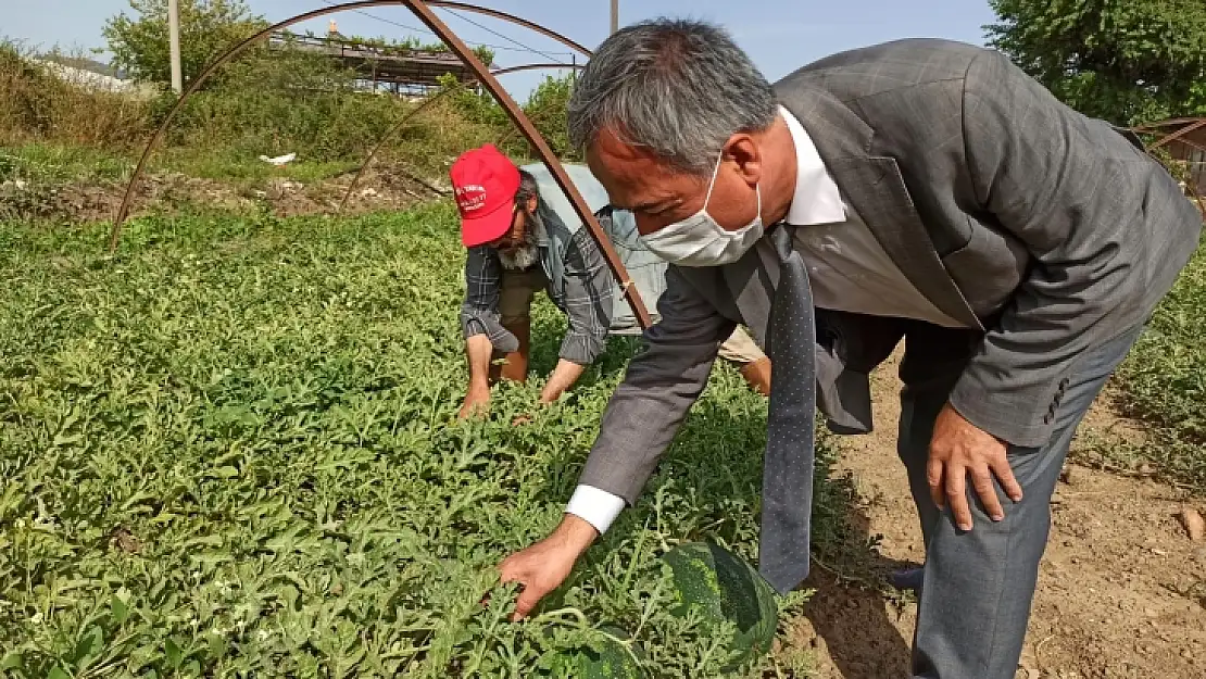 Bölgenin En Erkenci Karpuzu Fethiye'de Üretildi