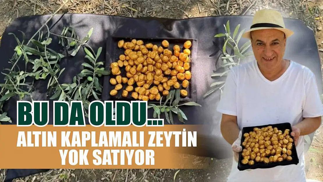 Bu da oldu... Altın kaplamalı zeytin yok satıyor