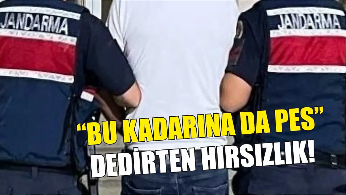 Bu kadarına da pes dedirten hırsızlık