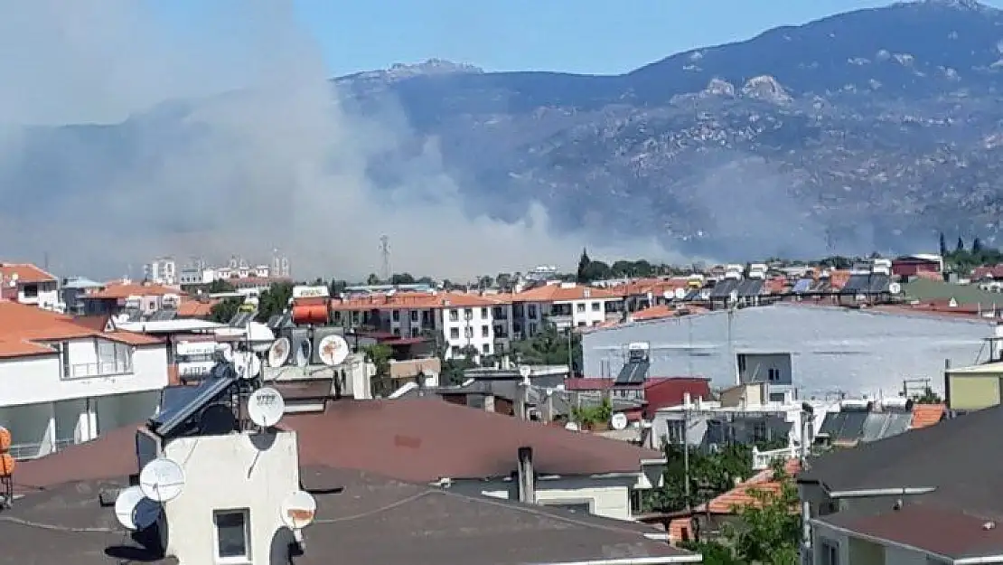 Buğday, arpa, fiğ ve yulaf ekili araziler kül oldu