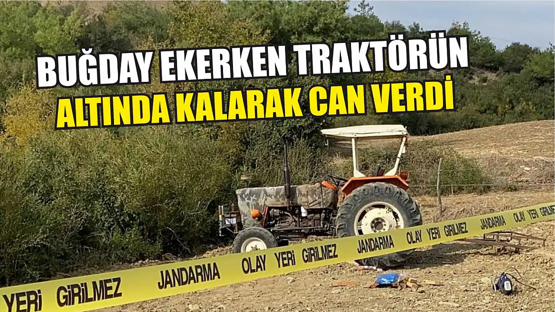 Buğday ekerken traktörün altında kalarak can verdi